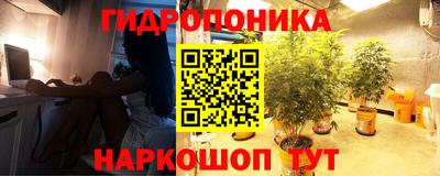 стафф Новодвинск