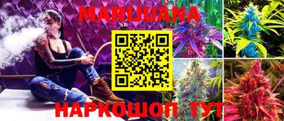 стафф Новодвинск