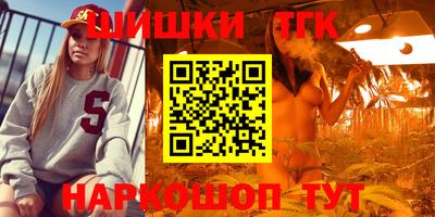 стафф Новодвинск