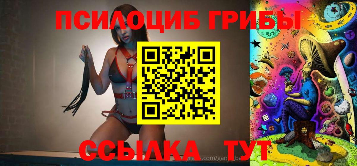 Псилоцибиновые грибы Cubensis Торжок