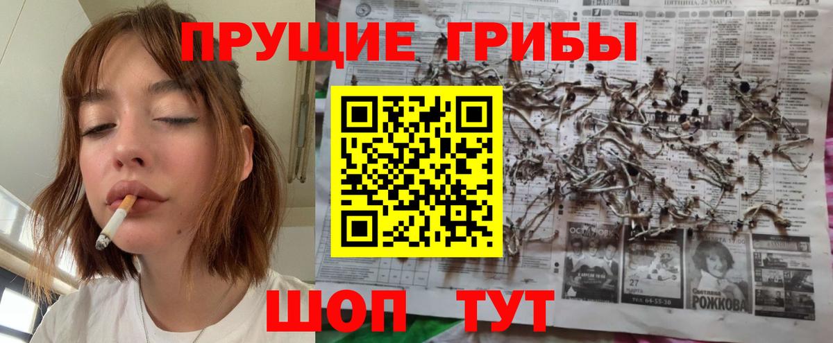 Торжок  Галлюциногенные грибы мицелий  Галлюциногенные грибы мухоморы  Вход с VPN 